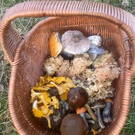 Dziesiatka Nad Samym Jeziorem - Pierwsza Linia Casa vacanze *