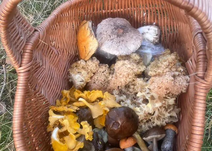 Dziesiatka Nad Samym Jeziorem - Pierwsza Linia Сasa de vacaciones *