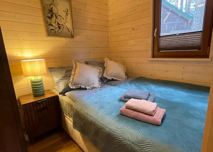 Dziesiatka Nad Samym Jeziorem - Pierwsza Linia * Borsk